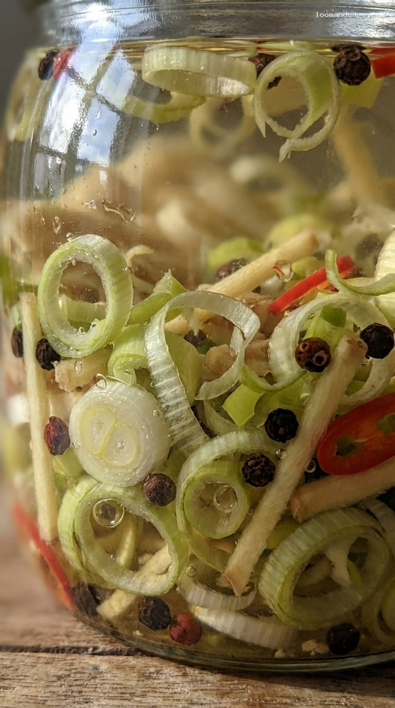 Ginger-Pickled Scallions with Peppercorns for Noodles – Closeup